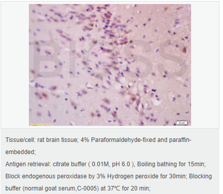 6052adae14695.png image.png