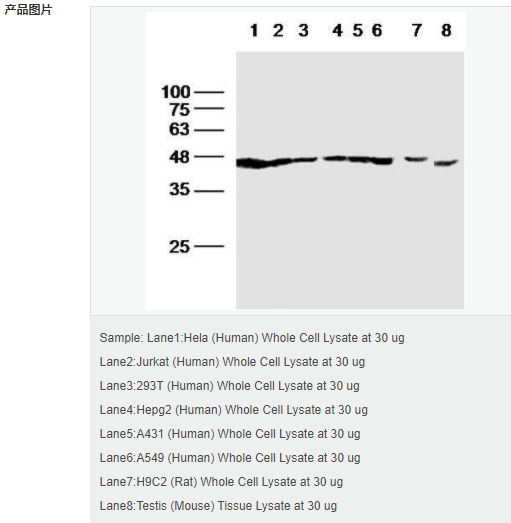 605416c551104.png image.png