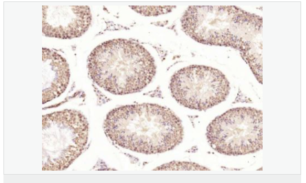 605840a863fdc.png image.png