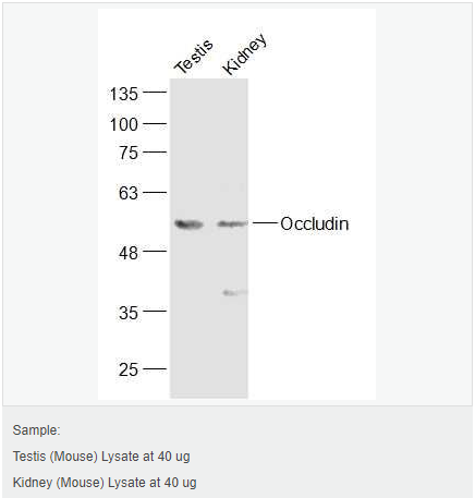 605d76423e919.png image.png