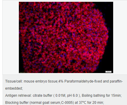 6076477be8834.png image.png